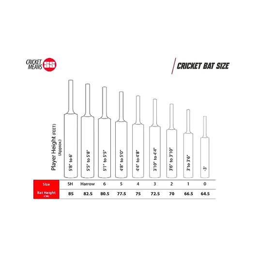 SS retro stunner Kashmir Willow Cricket Bat