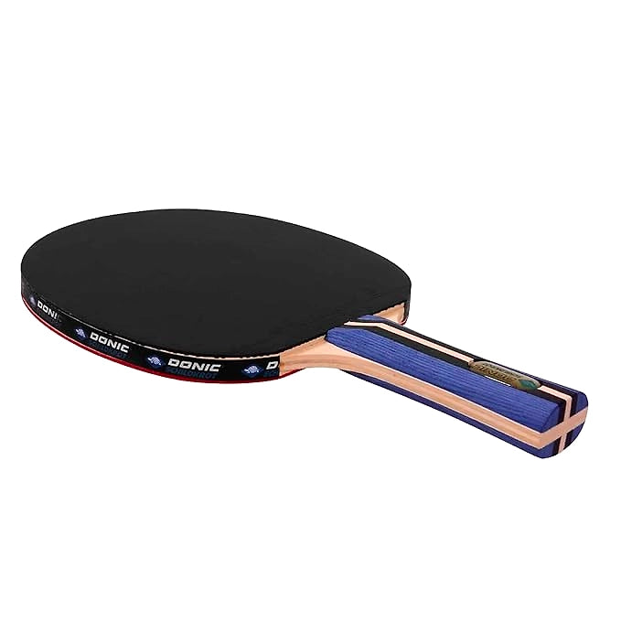 Donic Master Table Tennis Bat
