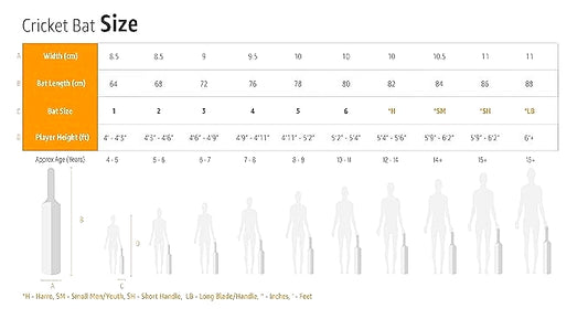 new balance DC 640+ English Willow Wood Cricket Bat