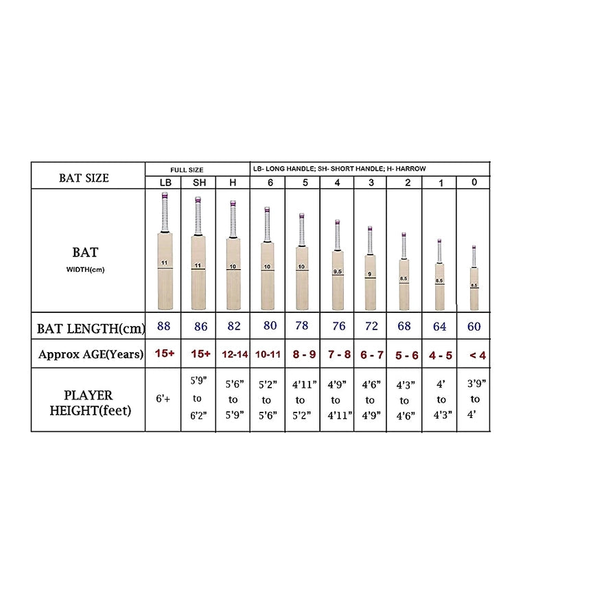 SG MAXCOVER KASHMIR WILLOW CRICKET BAT