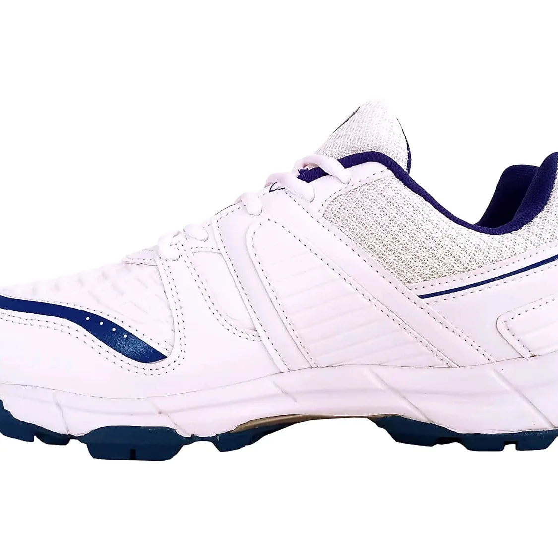 SG Steadler 6.0 Cricket Shoes