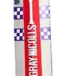 Gray Nicolls GN6 GEM English Willow Cricket Bat