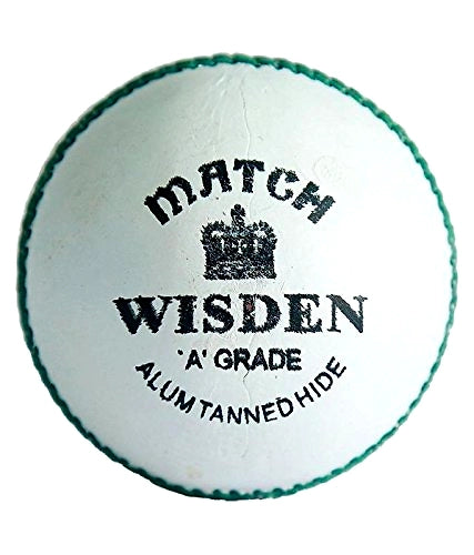 Head Tennis Ball Championship 1 Can | 3 Balls