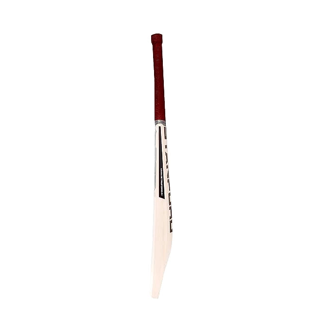 SF Incredible 10000 Cricket BAT